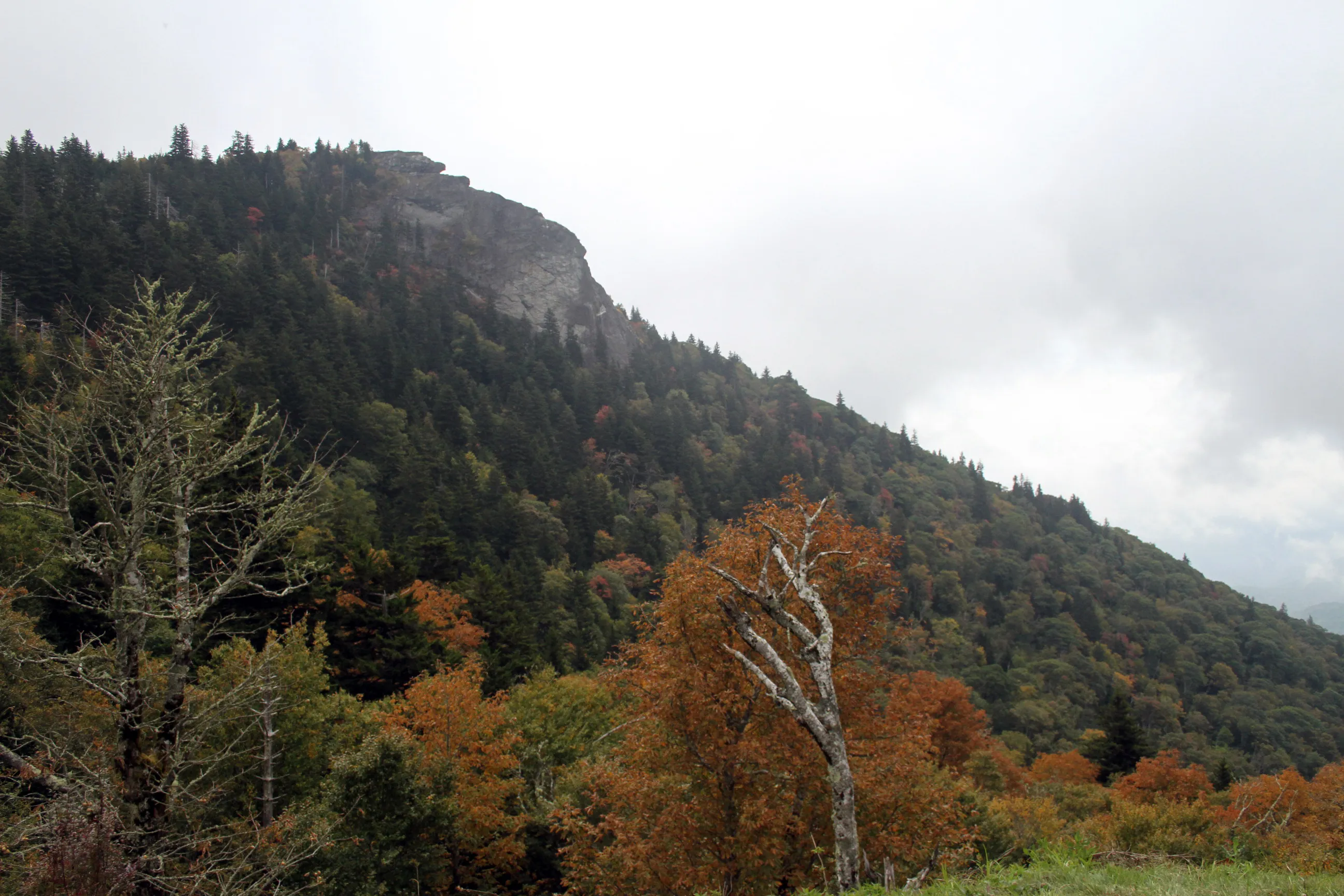 Drive the Blue Ridge Parkway from the Southern Terminus