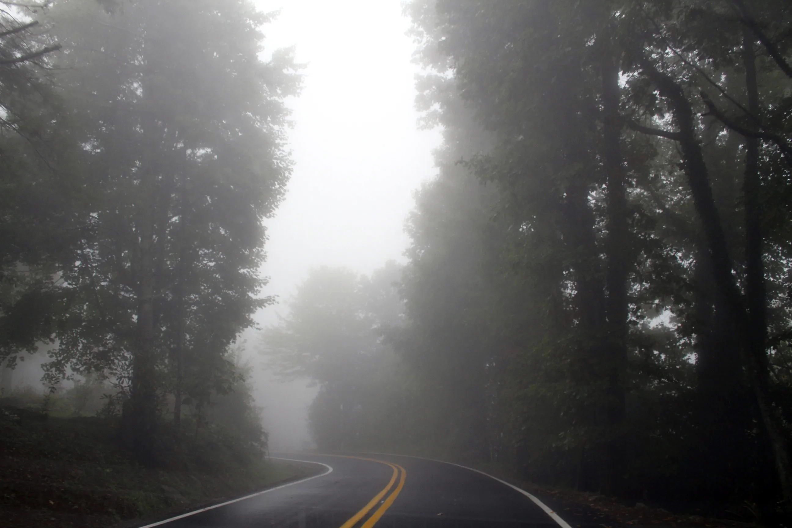 Drive the Blue Ridge Parkway from the Southern Terminus