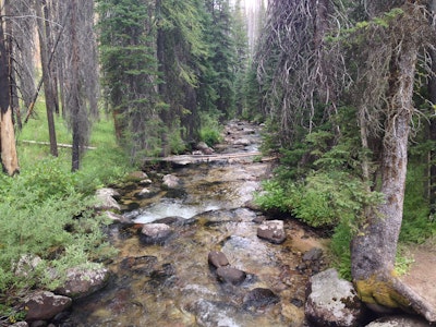 Hike to Loon Lake, Chinook Campground