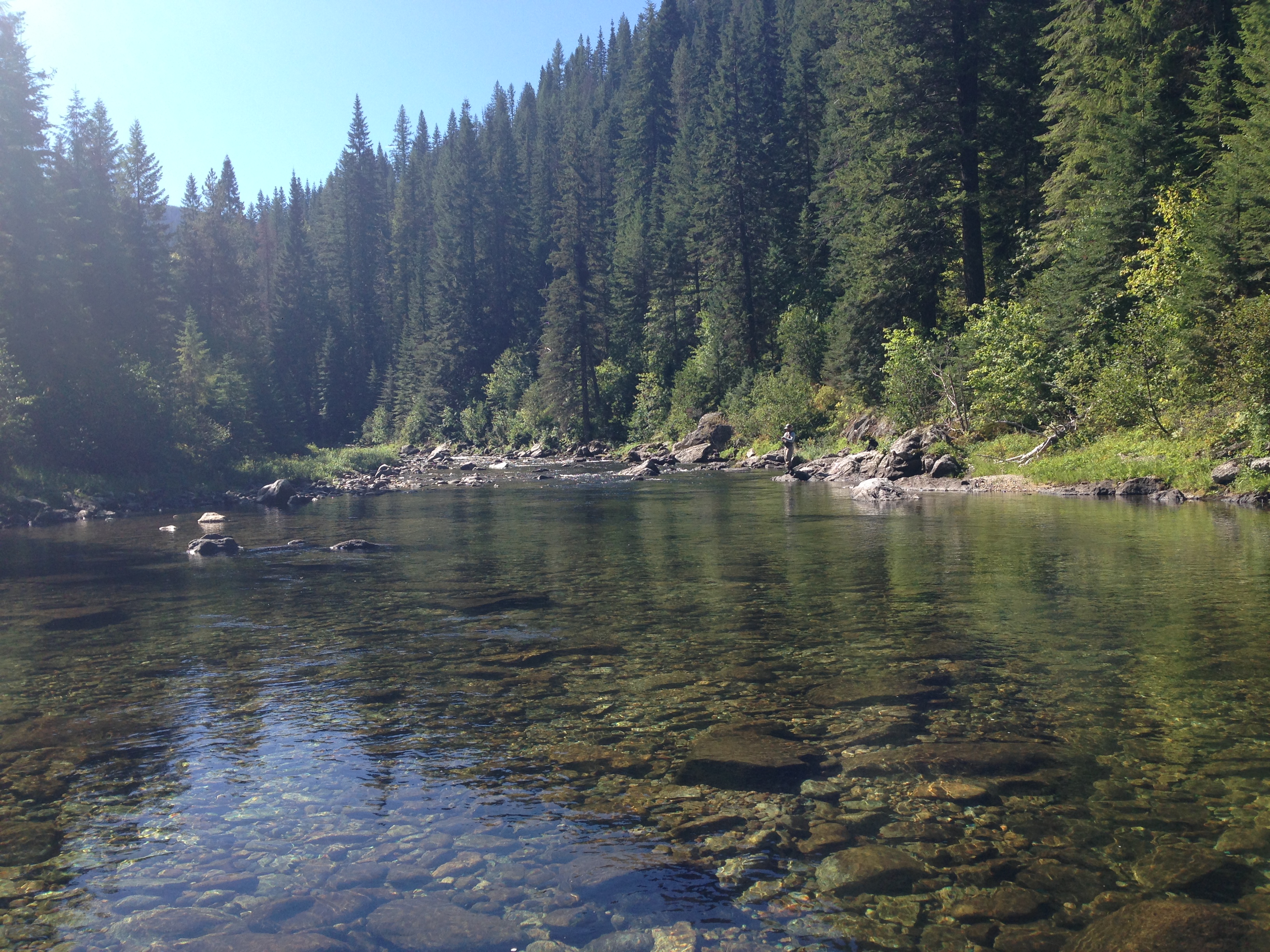 Fly Fish Kelly Creek, Clearwater County, Idaho