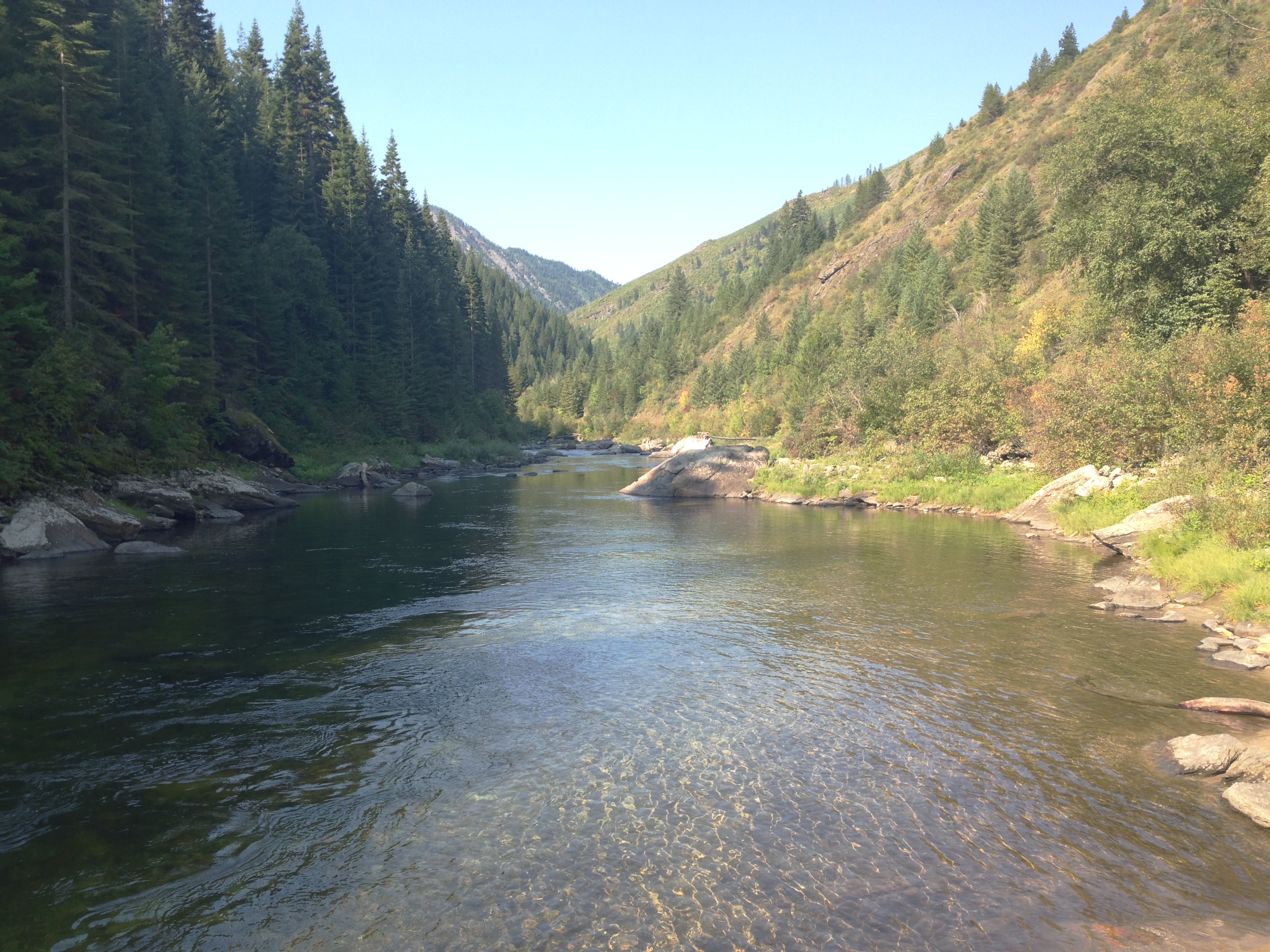 Fly Fish Kelly Creek