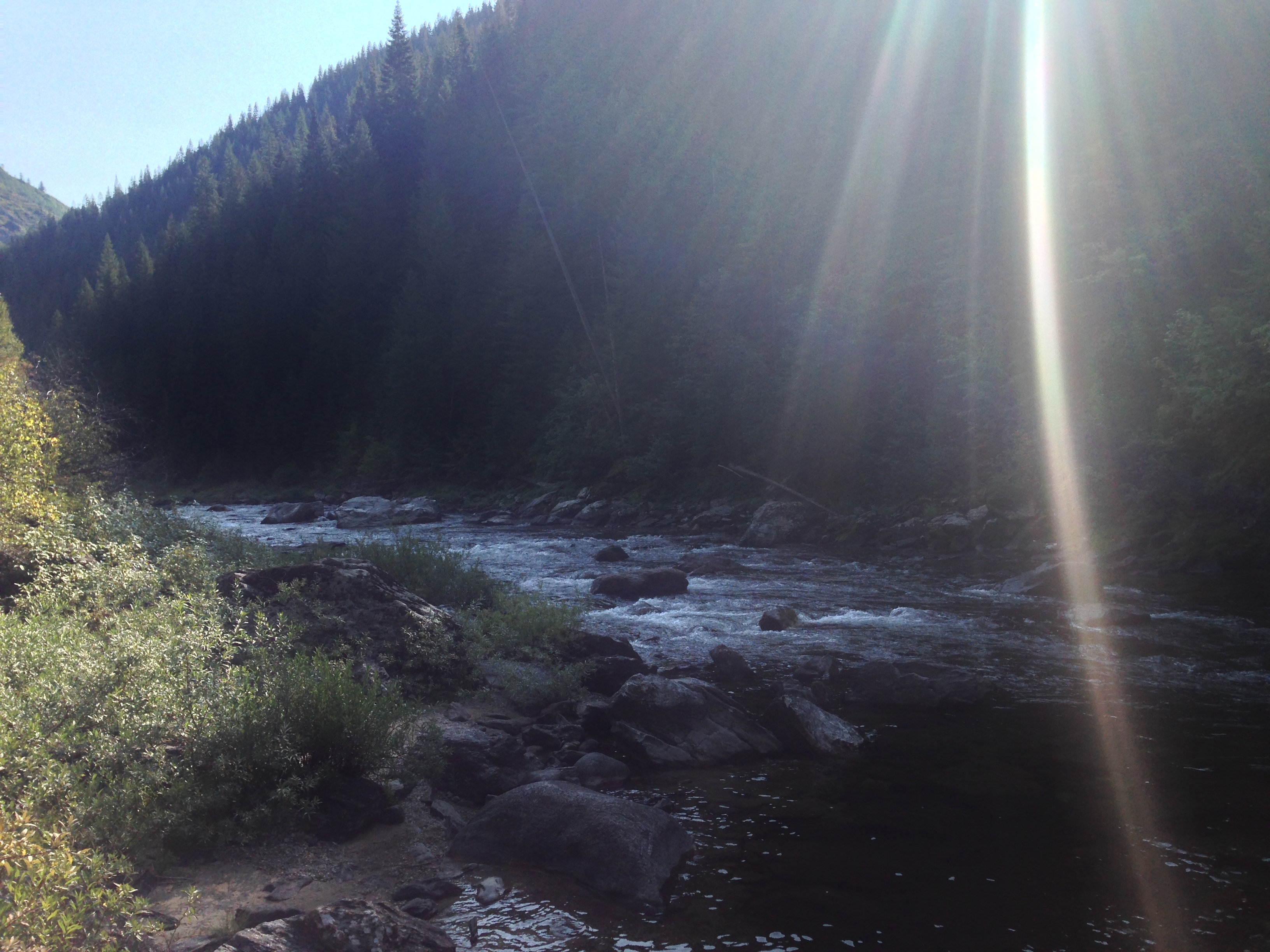 Fly Fish Kelly Creek
