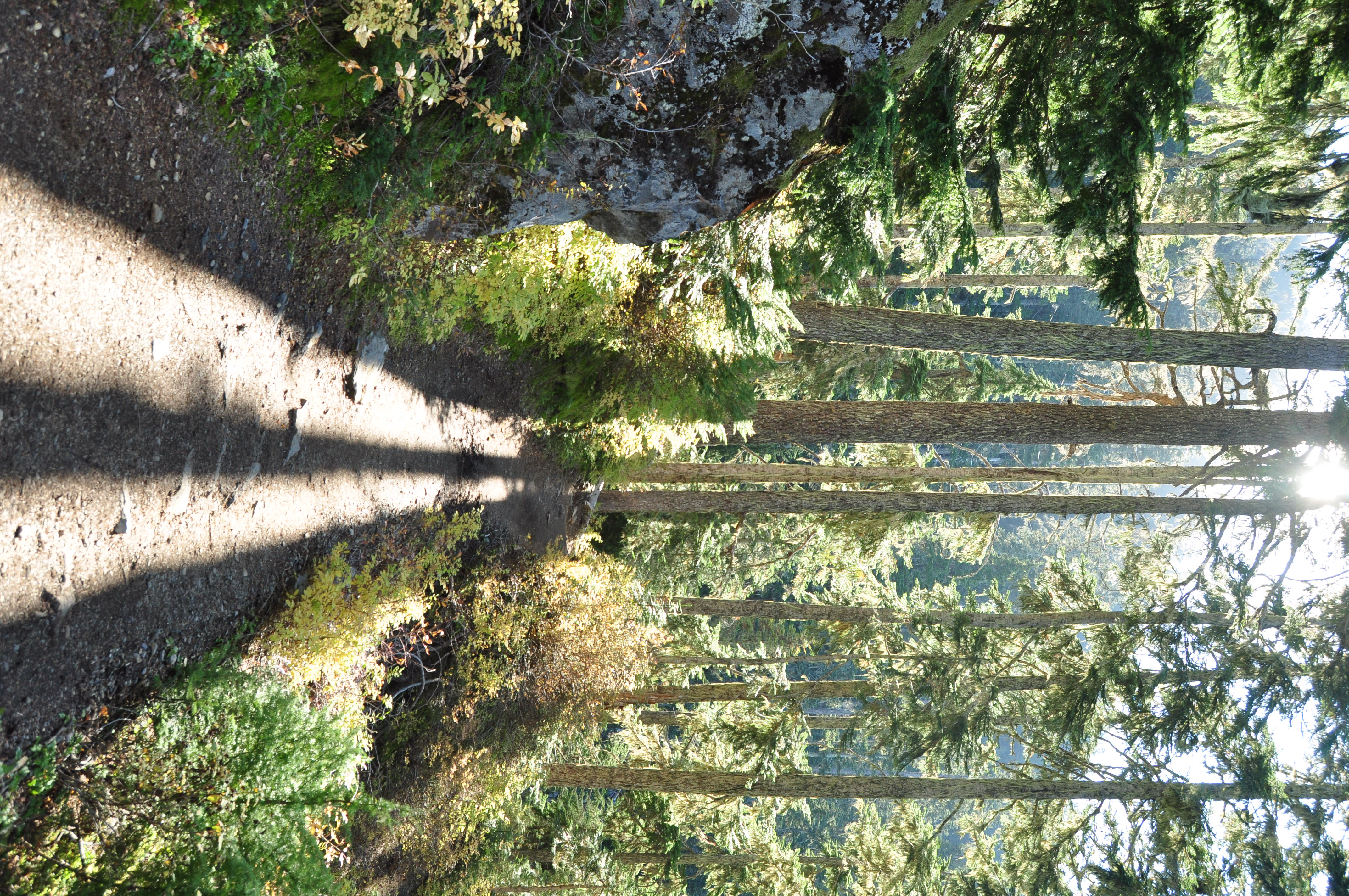 Hike Helitrope Ridge 