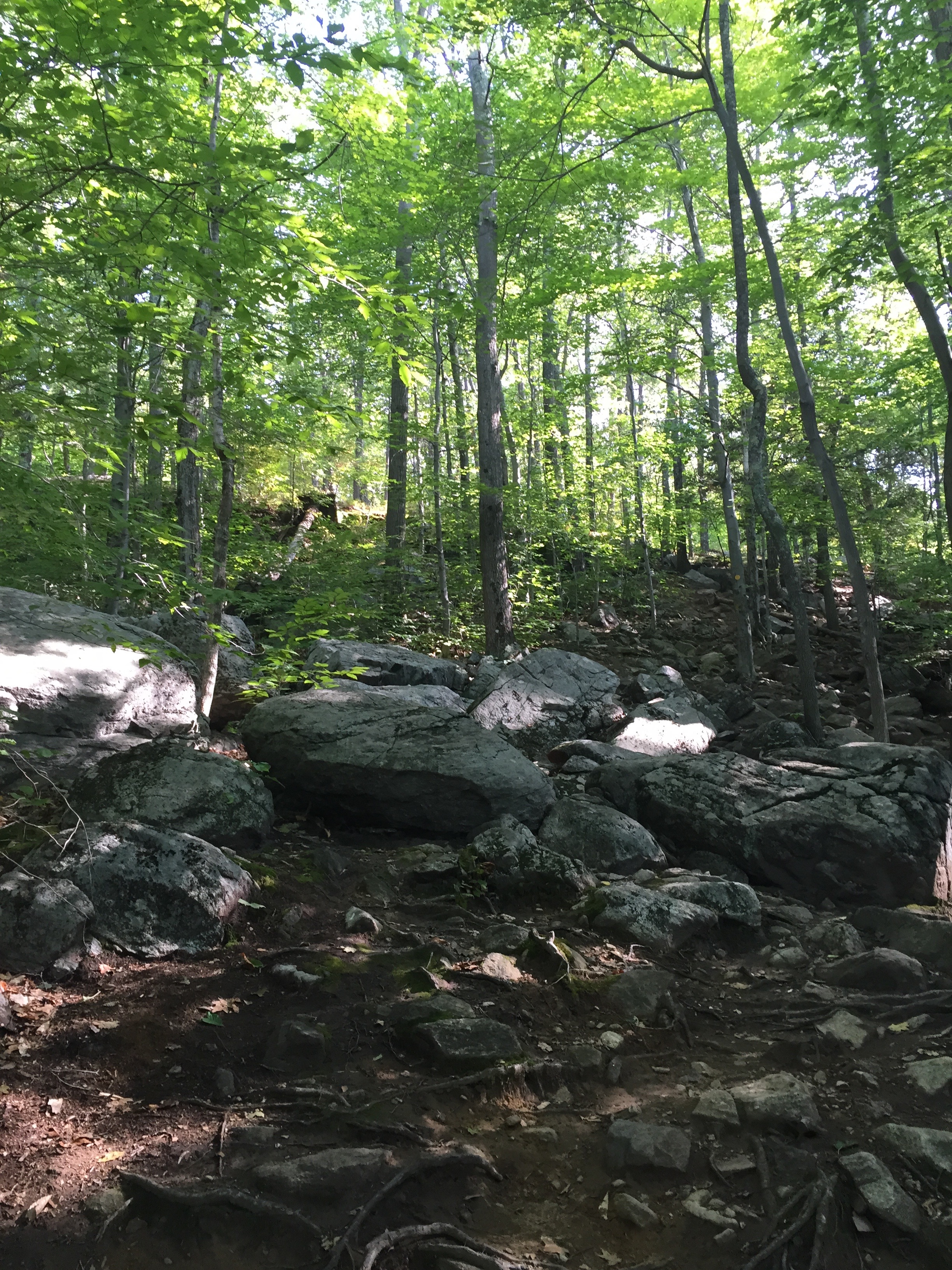 Buck Mountain via Shelving Rock Road