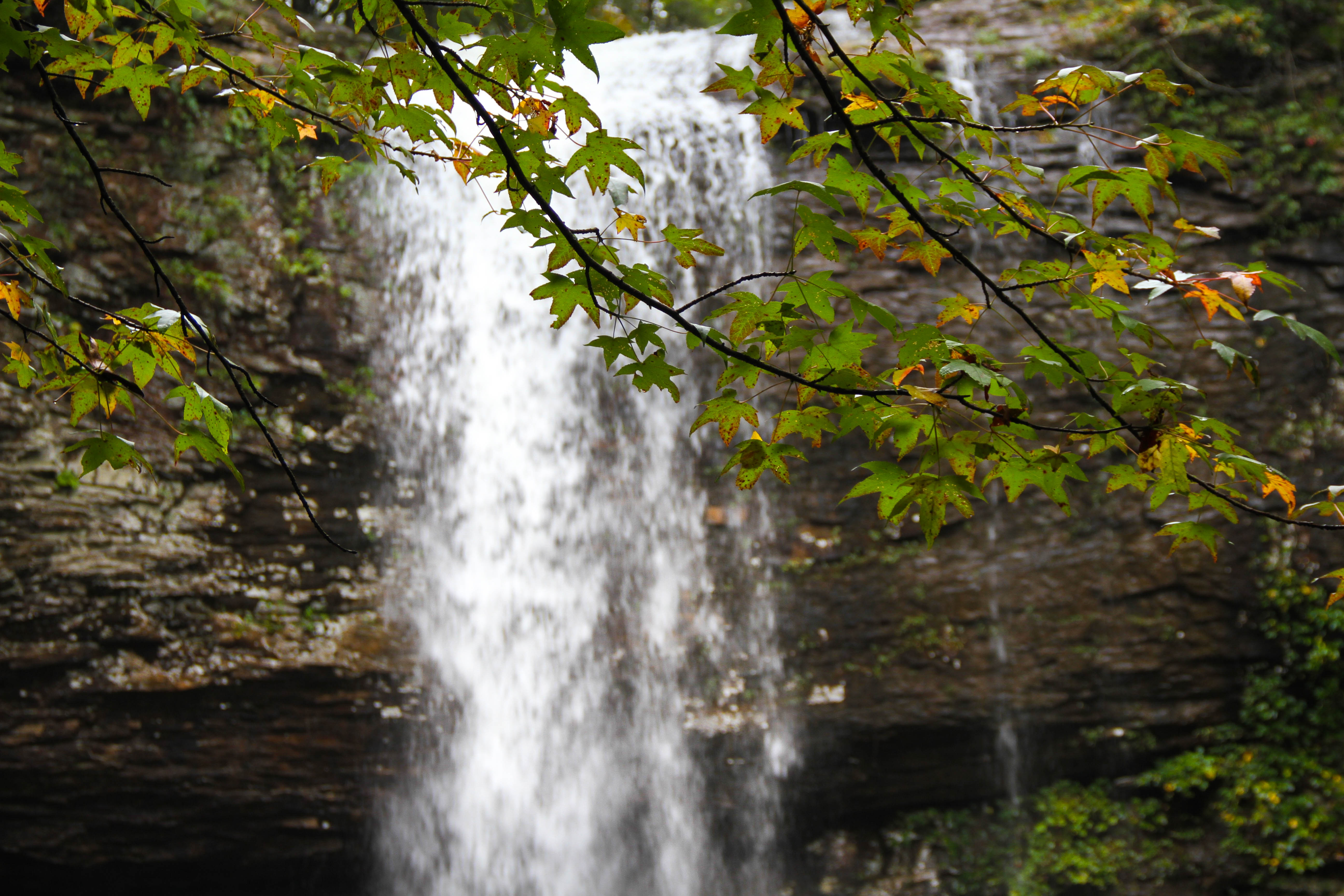 Hike the West Rim Trail to Cherokee Falls 