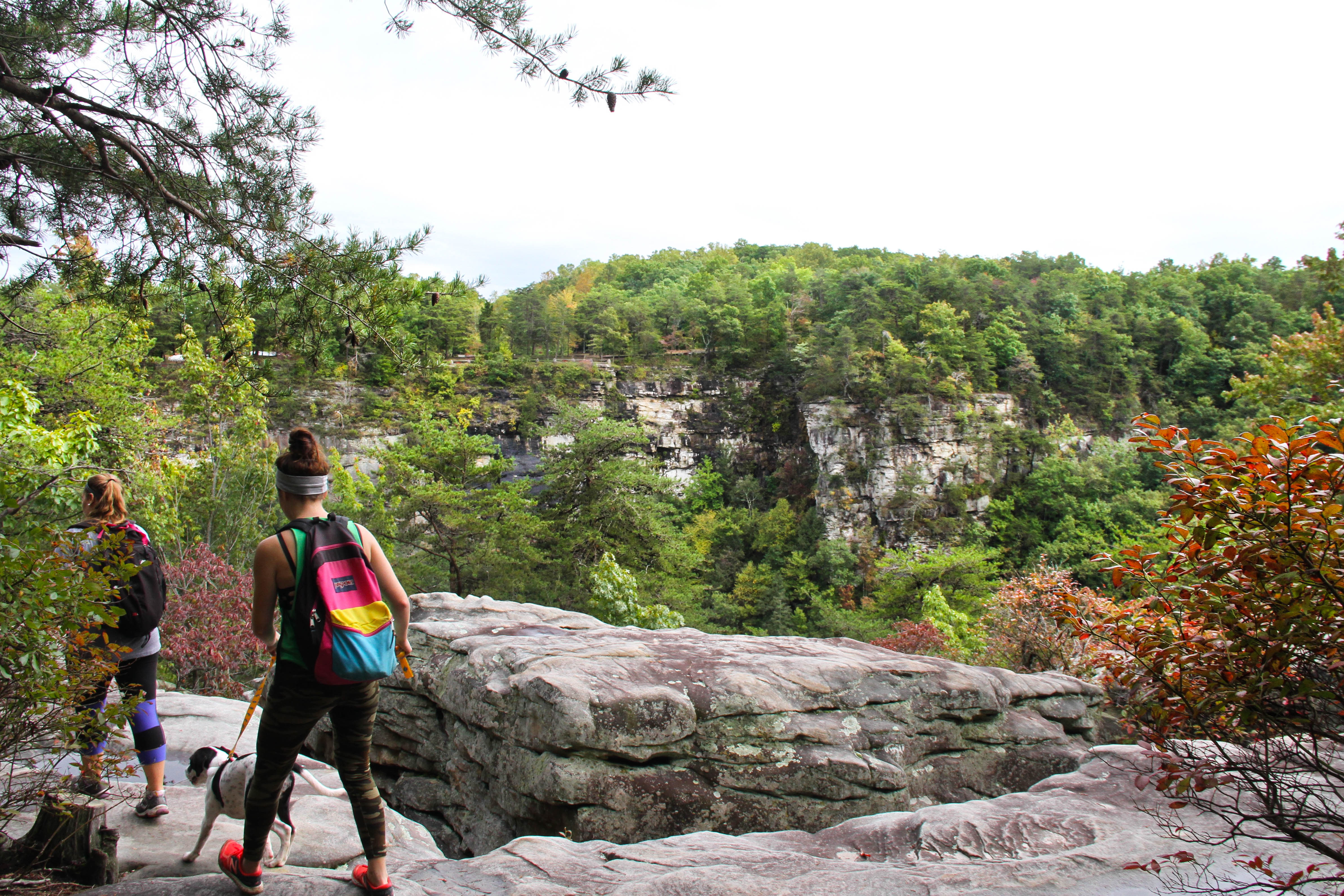 Hike the West Rim Trail to Cherokee Falls 