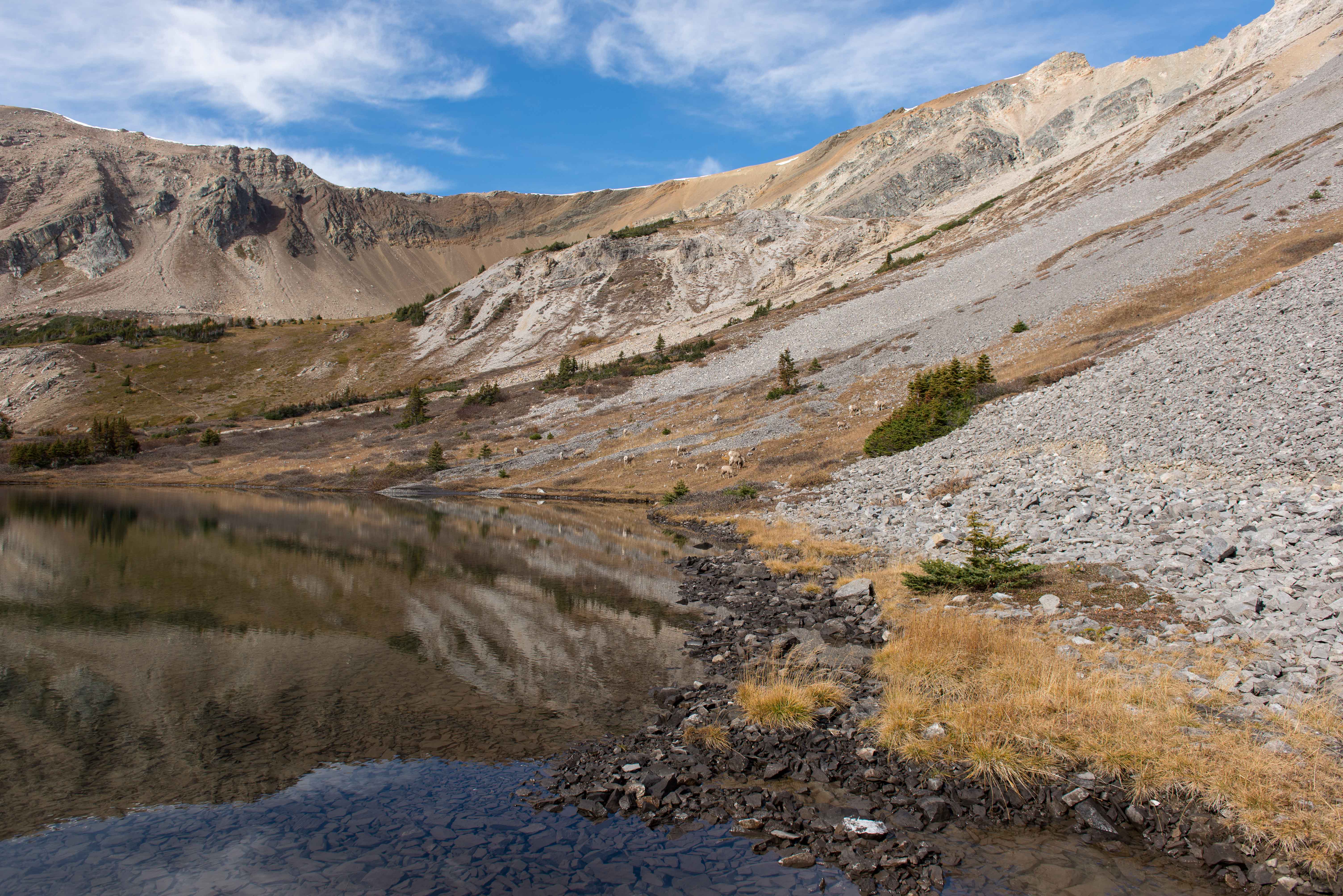 Hike Mount Bourgeau
