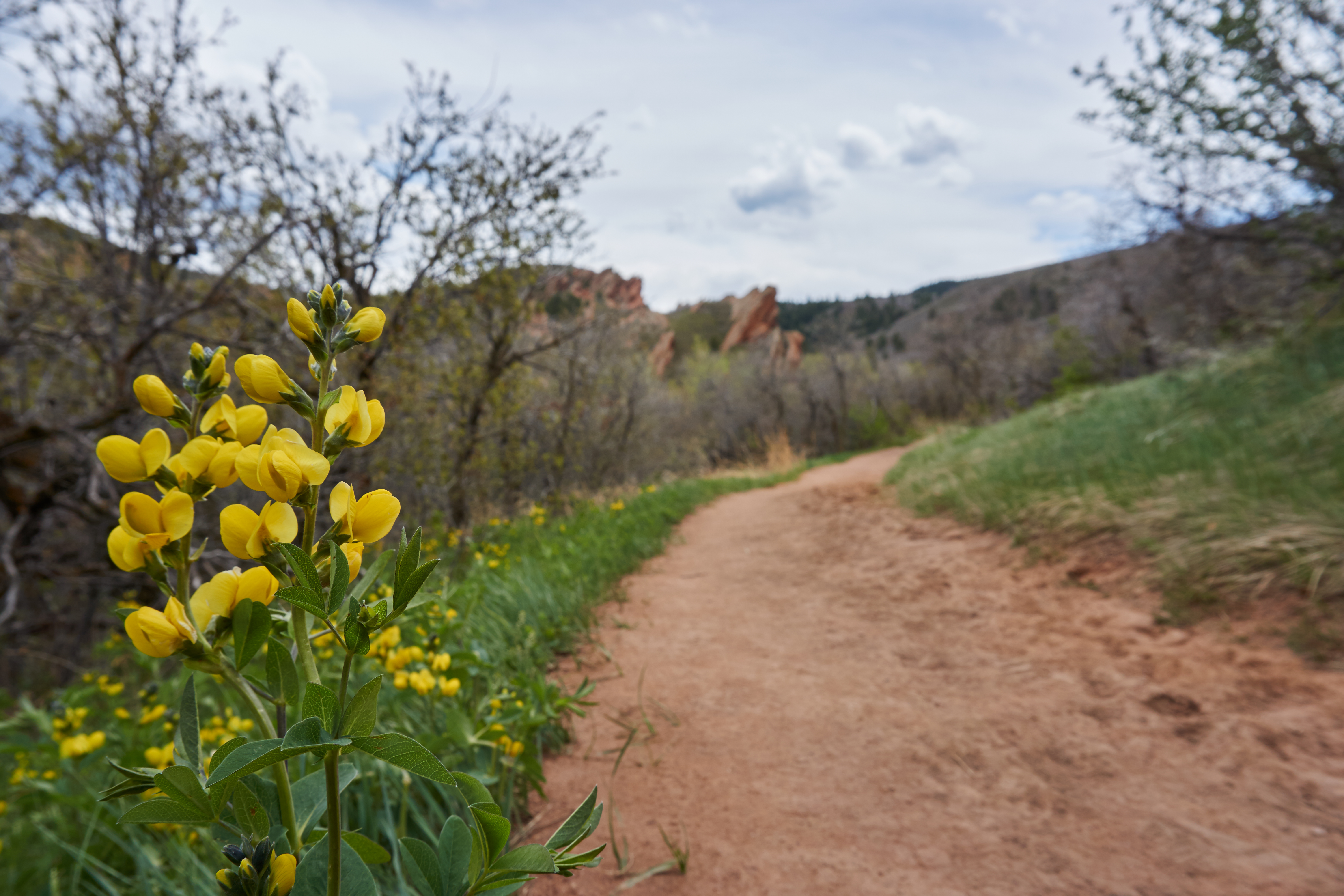 Hike & Photograph Roxborough State Park