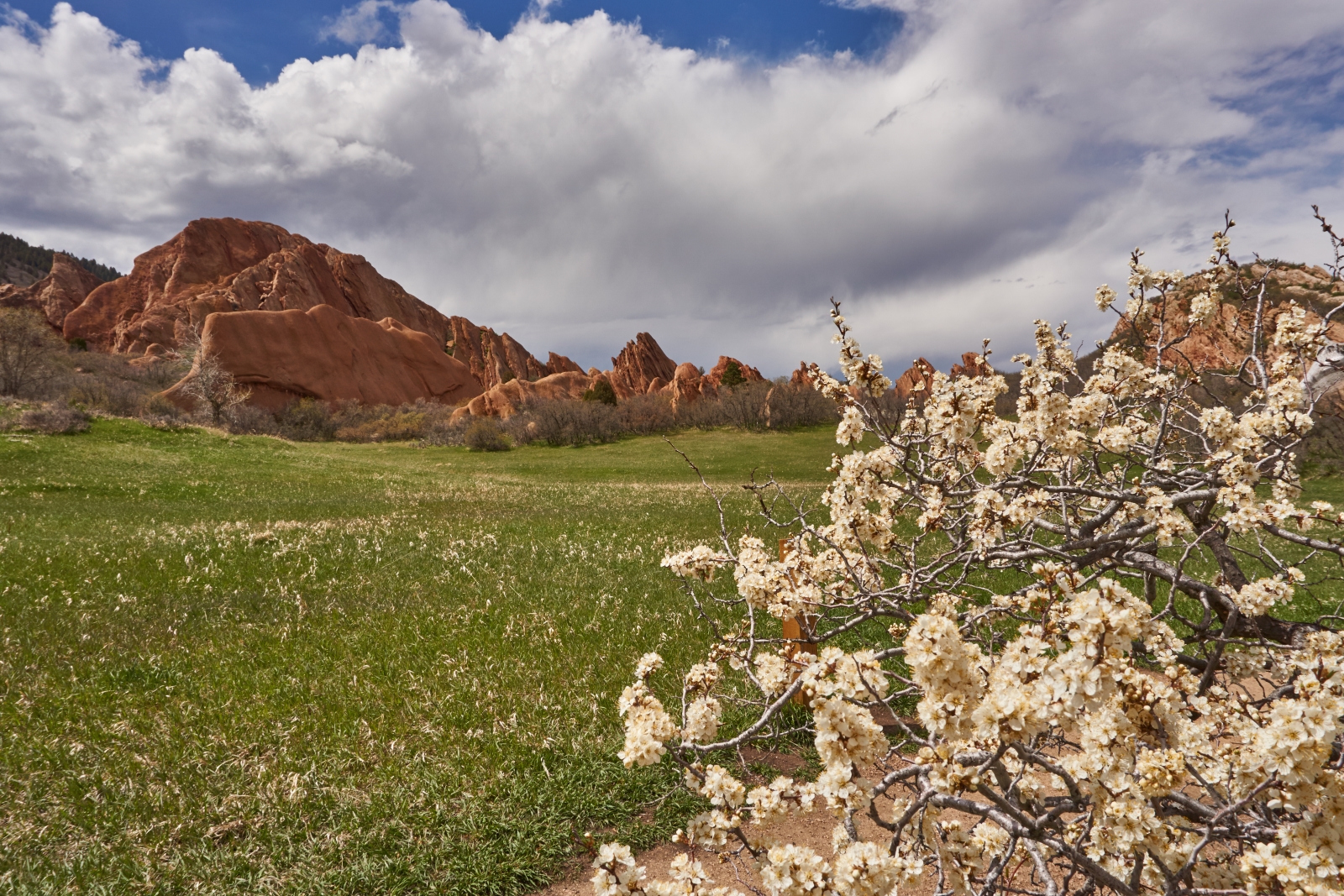 Hike & Photograph Roxborough State Park