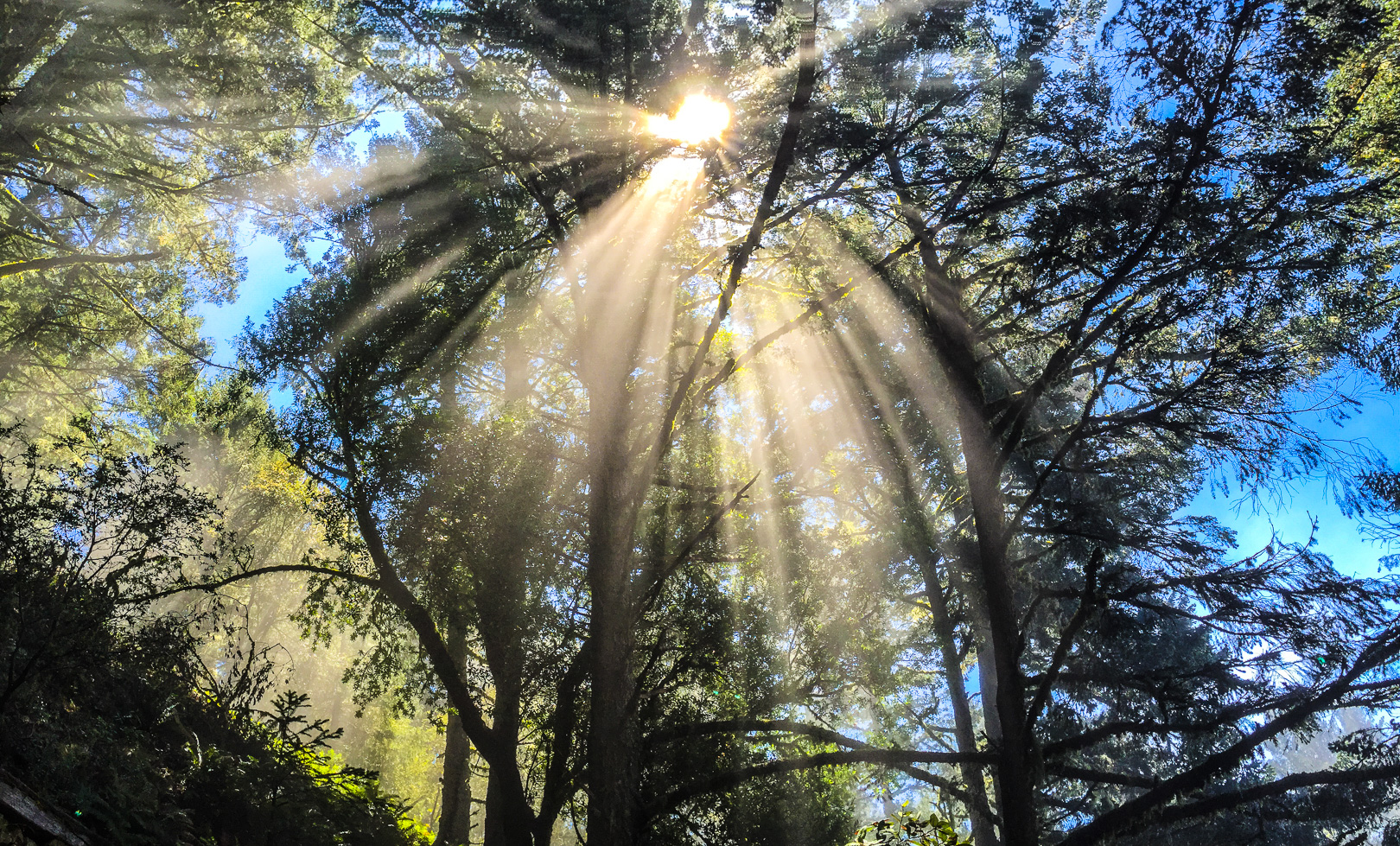 Matt Davis-Coastal Trail Loop 