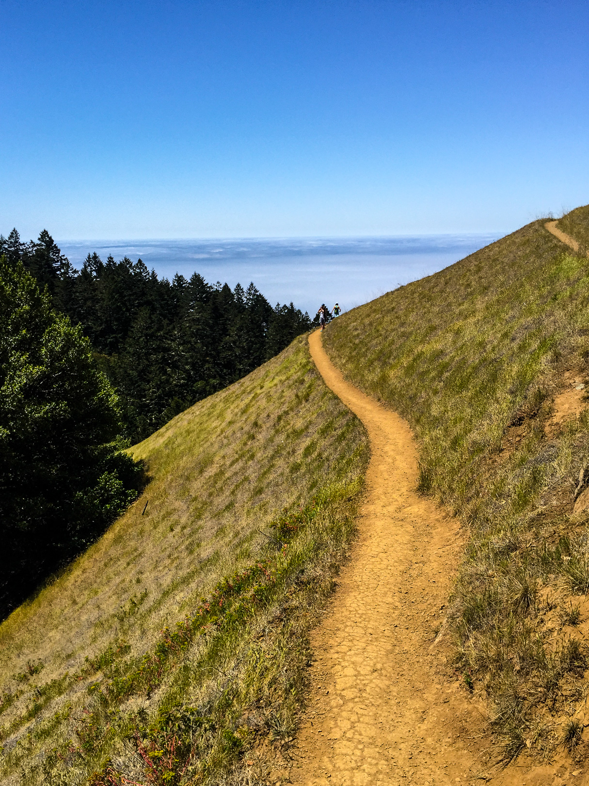 Matt Davis-Coastal Trail Loop 