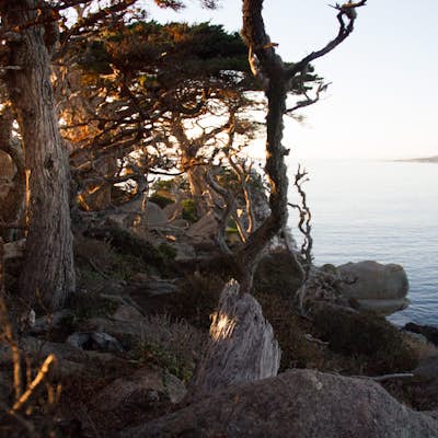 Explore Point Lobos Ecological Reserve: Seaside Cliffs at Sunset