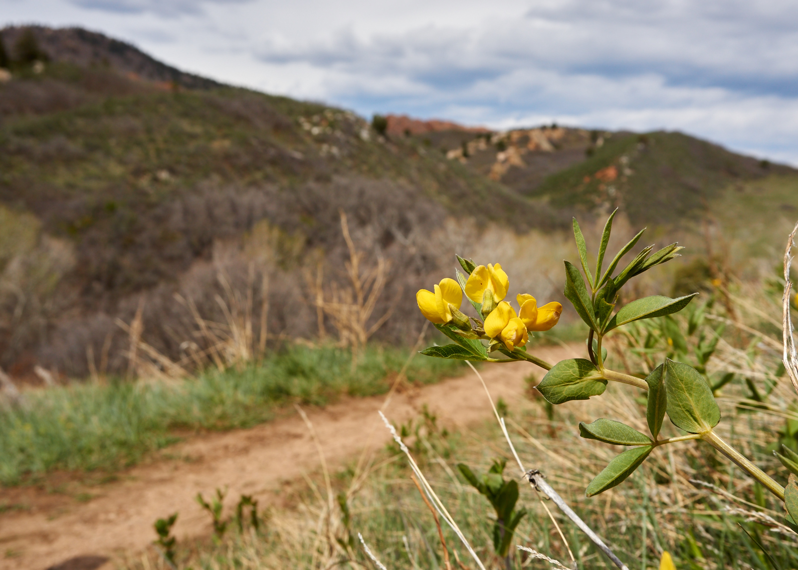 South Rim Trail Loop at Roxborough State Park