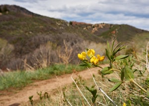 Hike the South Rim Trail at Roxborough State Park