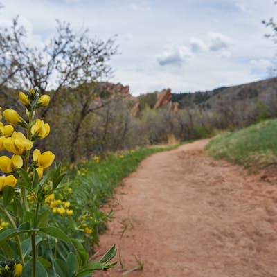 Hike the South Rim Trail at Roxborough State Park