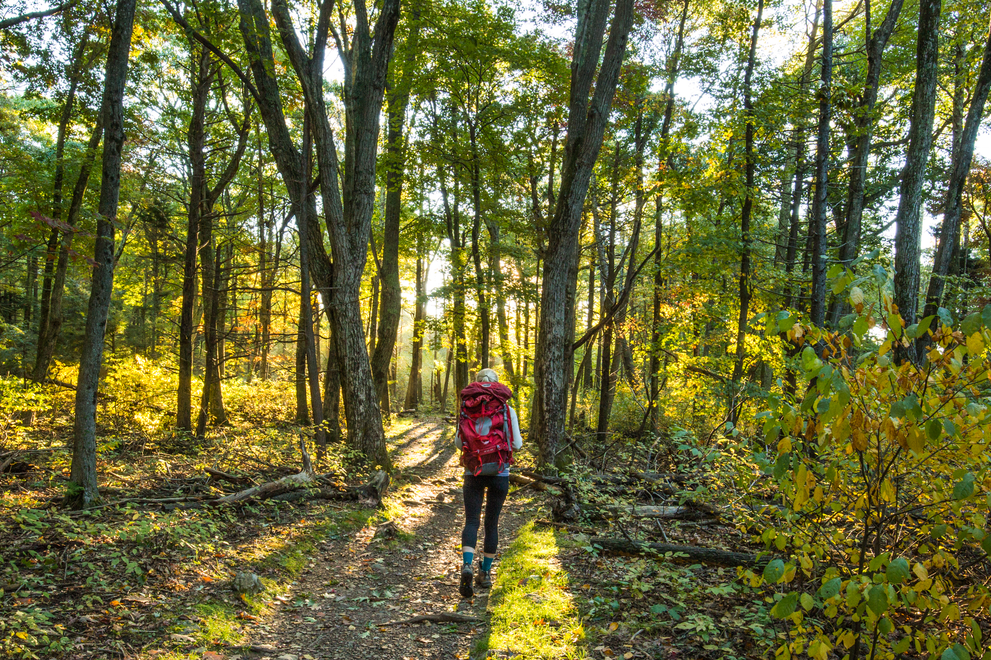 White Oak Canyon to Upper Falls