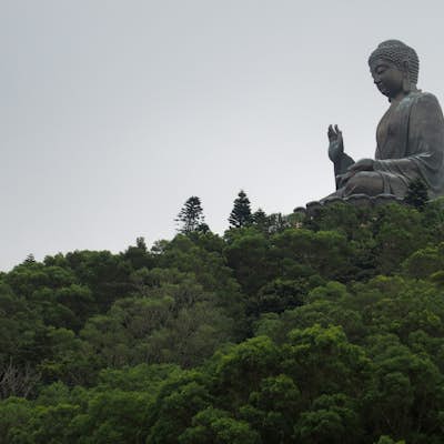 Hike to Tian Tan Buddha ("Big Buddha")