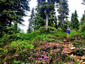 Hike to Flower Ridge