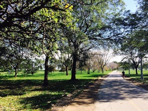 Run Chicago’s Lakefront Trail