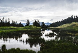 Hike Beaver Ponds Loop