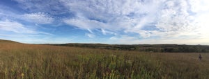 Konza Prarie-Kings Creek Loop