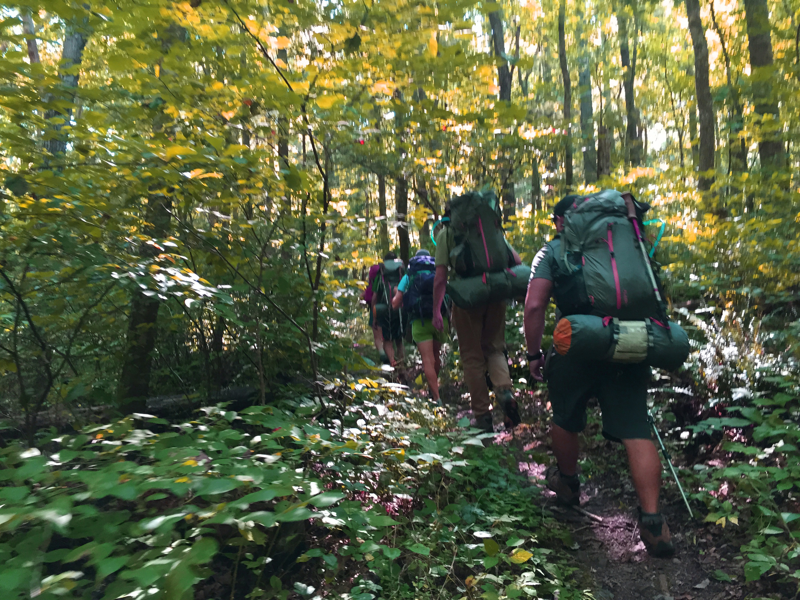 The Best Backpacking In And Near Shenandoah National Park Virginia