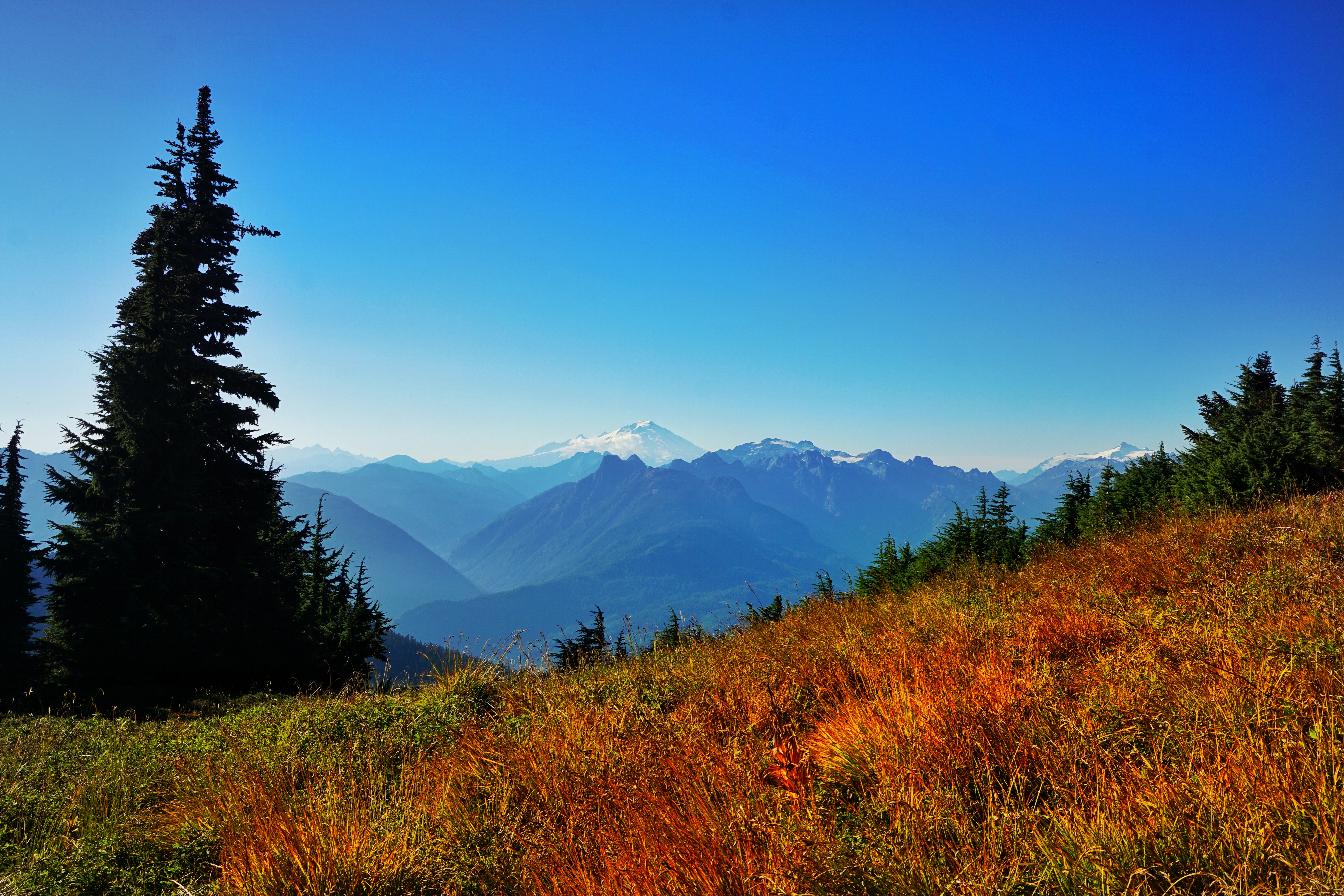 Lookout Mountain Trail