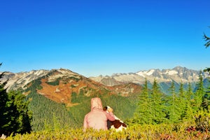 Lookout Mountain Trail