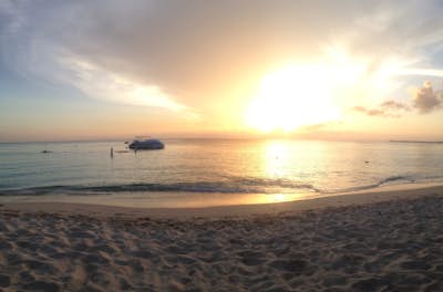 Can't Go Wrong With Cayman