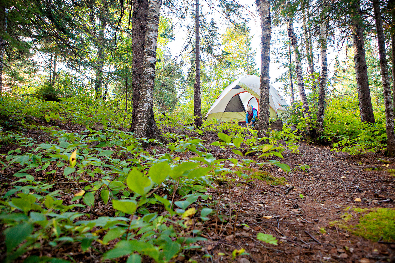 Camp at George H. Manitou Crosby State Park