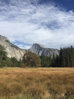 Tuolumne Meadows to Yosemite Valley 