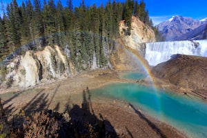 Hike to Wapta Falls, Yoho National Park 