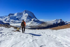 Hike to Snowbird Pass, Mount Robson Provincial Park 