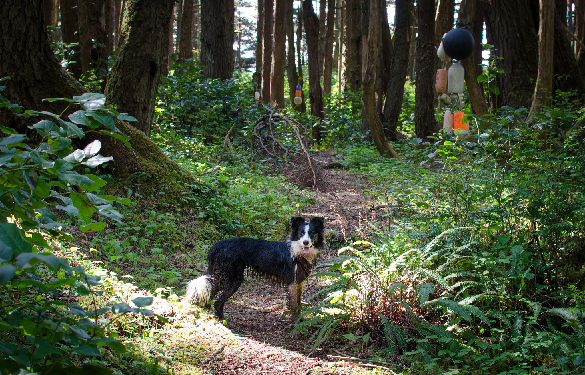 Hike to Keeha Beach