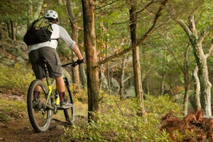 Mountain Bike West Rock Ridge State Park