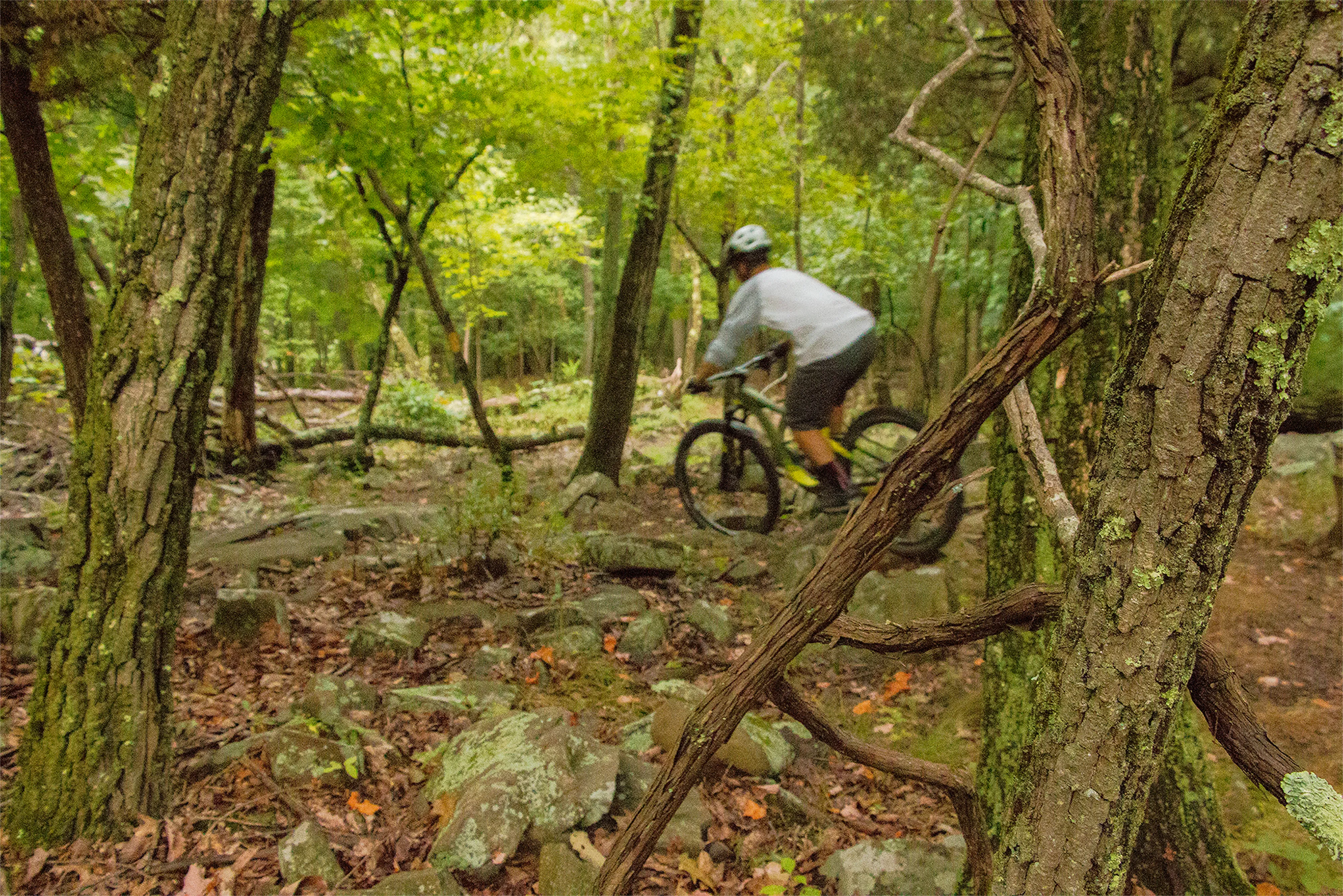 Mountain Bike West Rock Ridge State Park