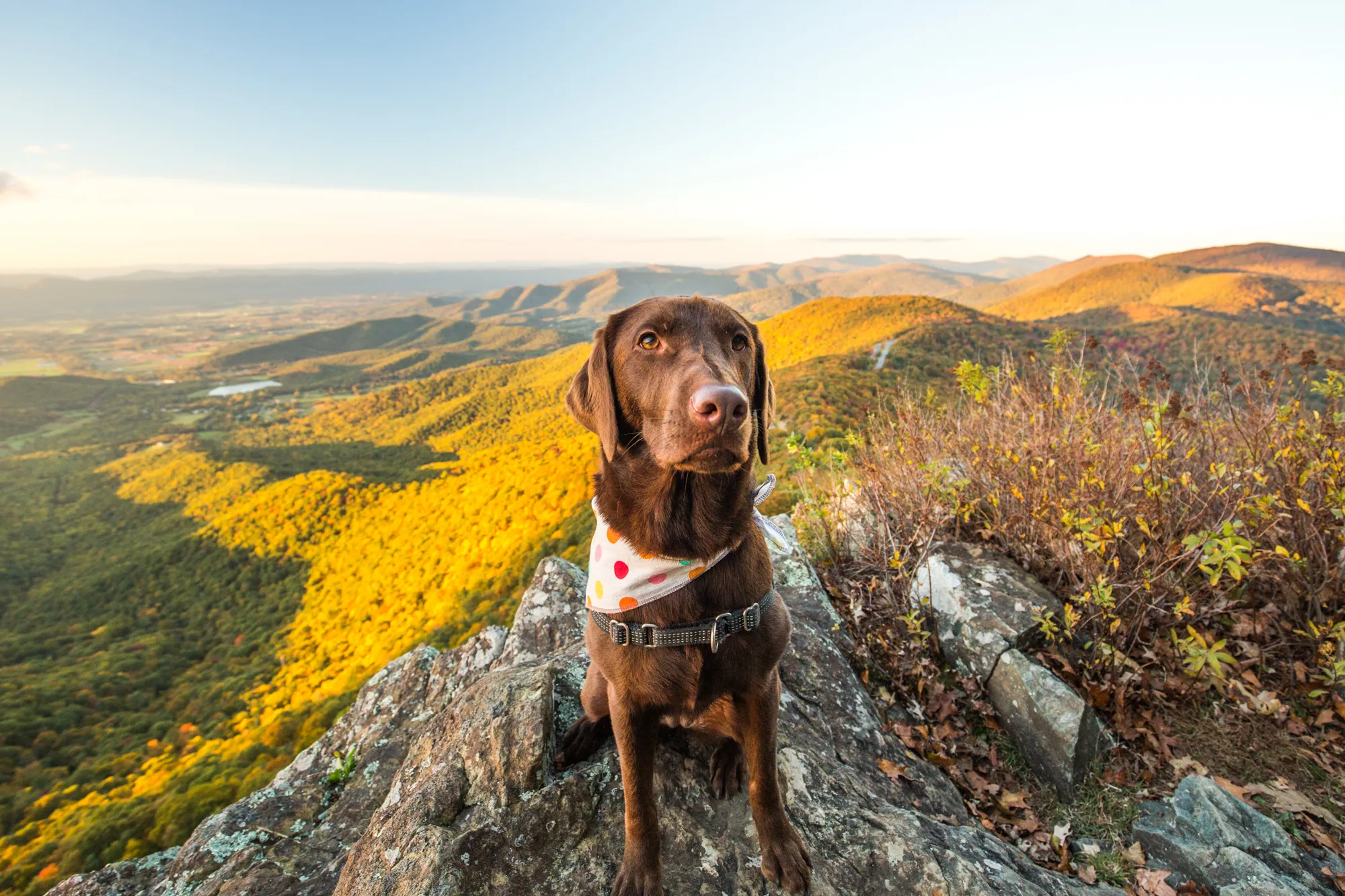 Little Stony Man, Shenandoah National Park 