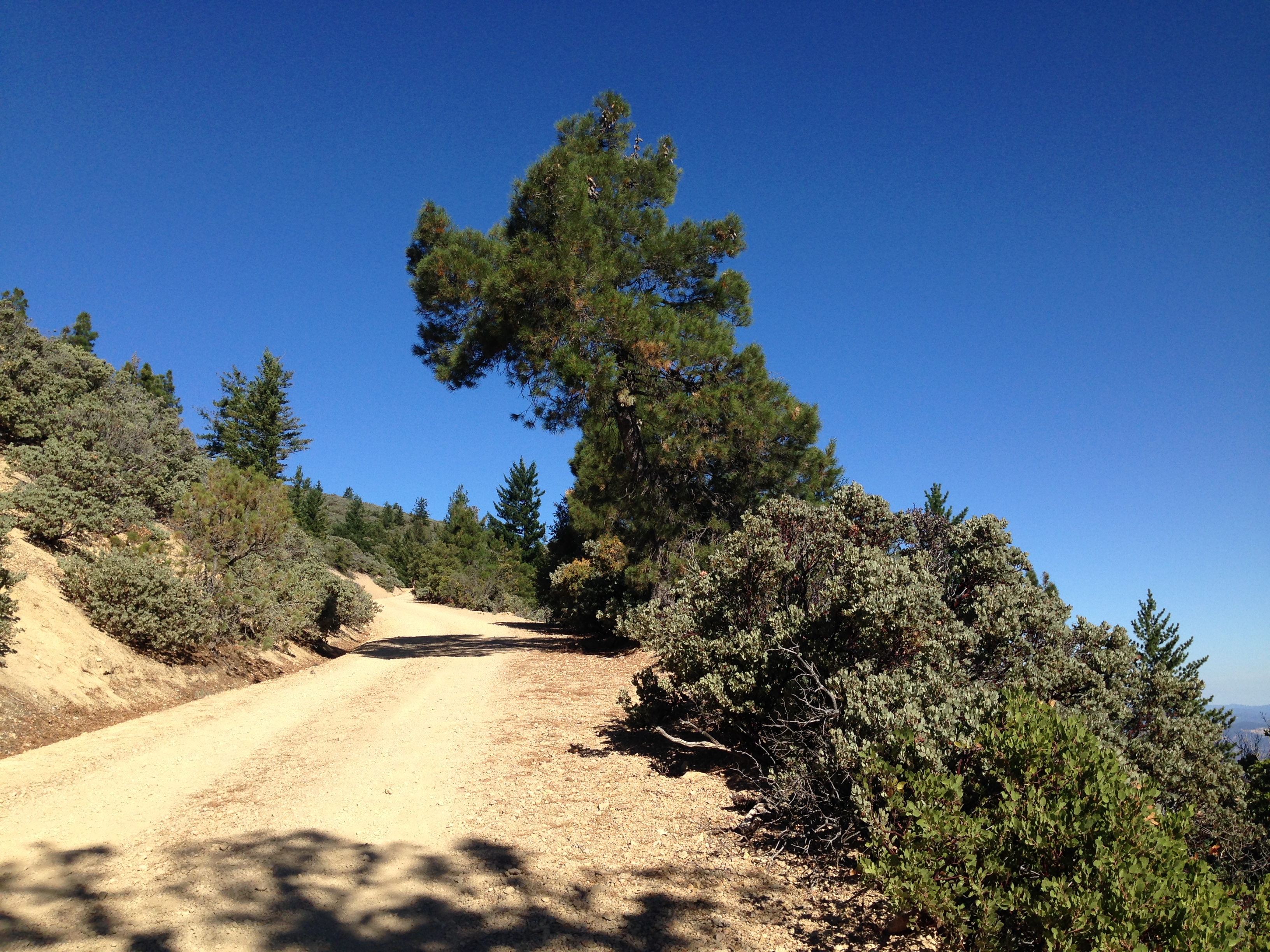 Mount Saint Helena