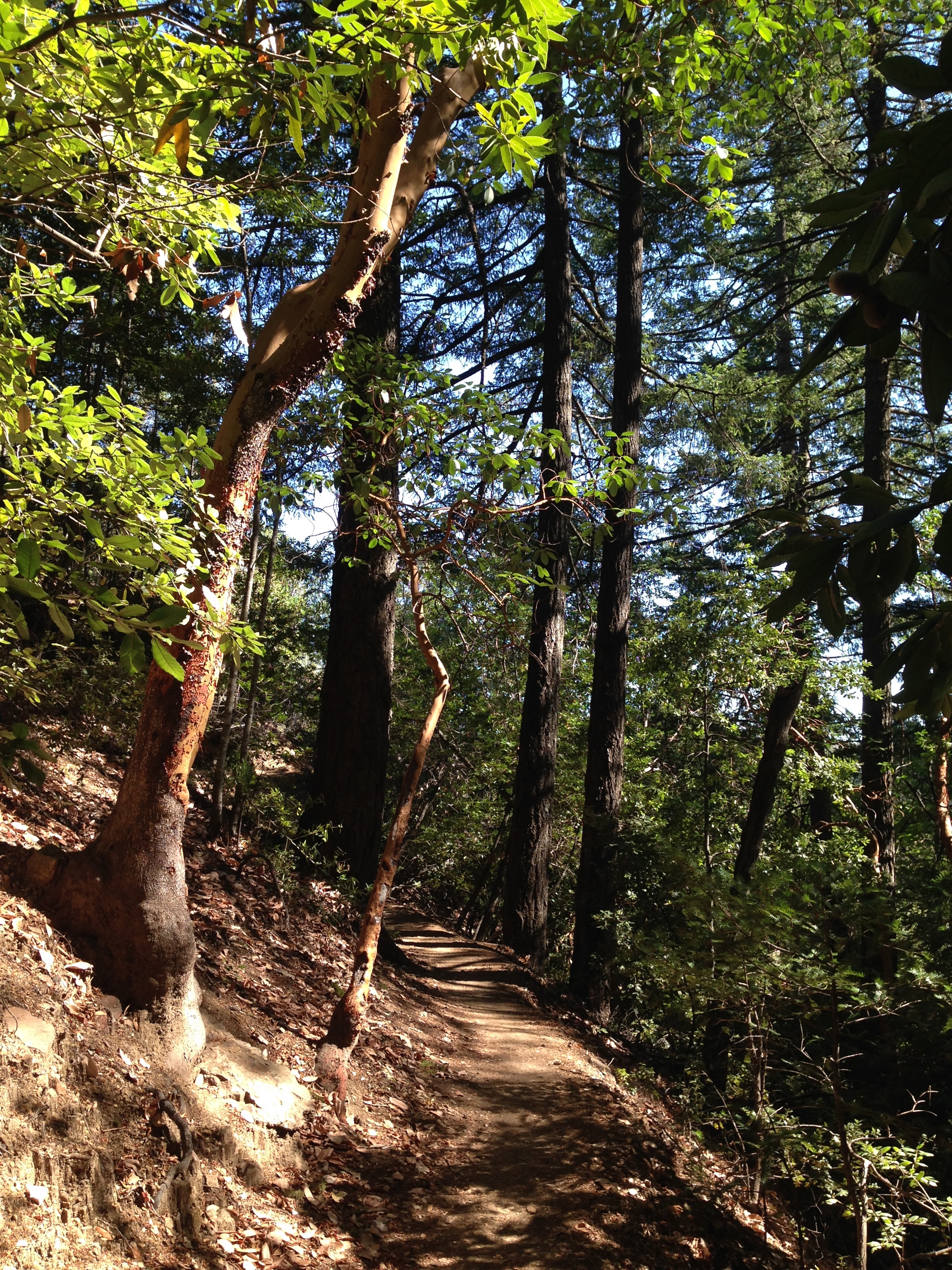 Mount Saint Helena