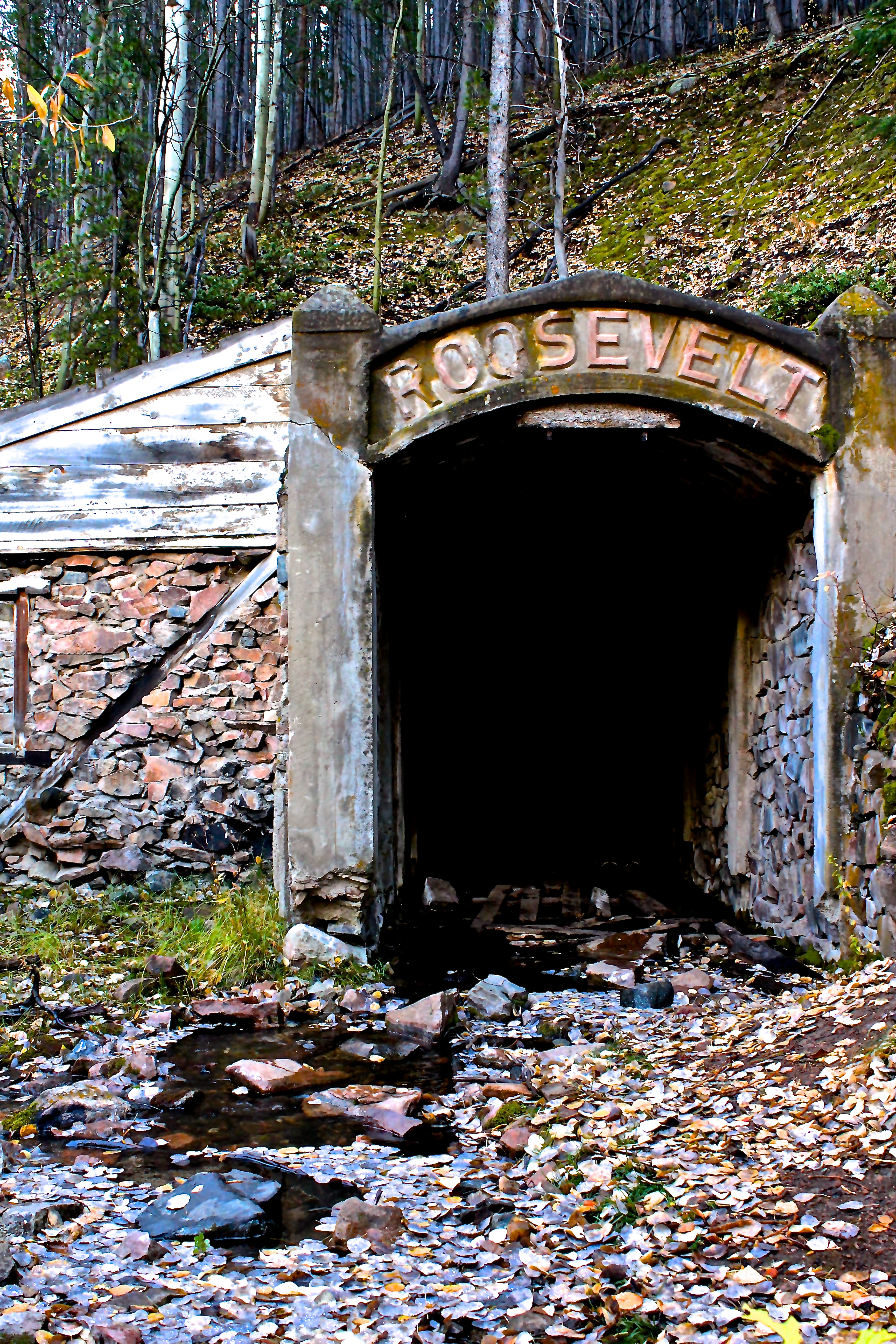 Roosevelt Mine