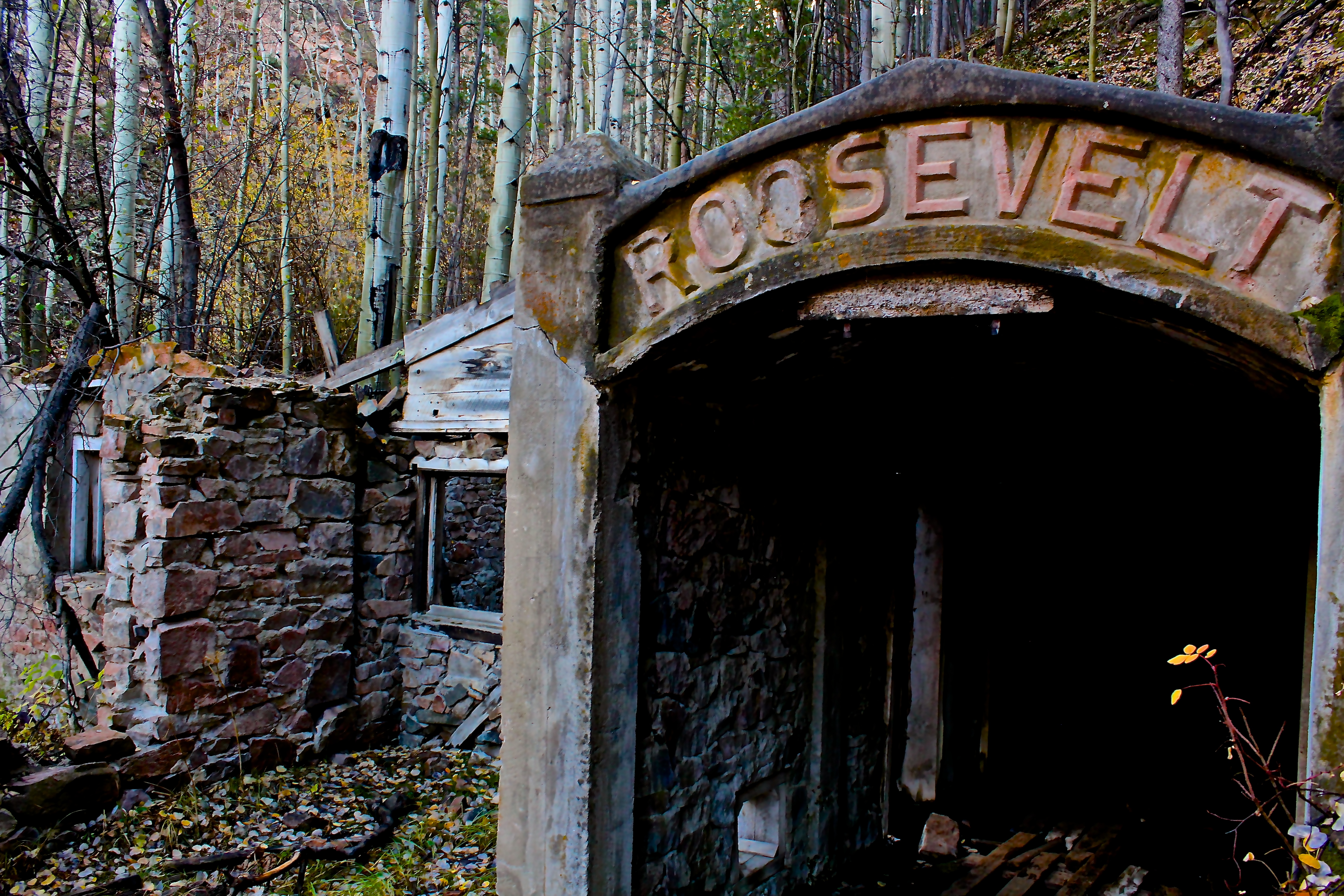 Roosevelt Mine