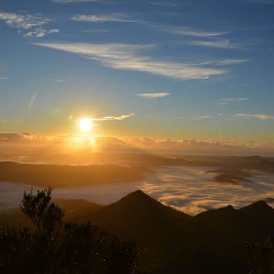 Hike to the Mount Warning Summit