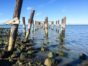 Explore Point Pinole Shoreline