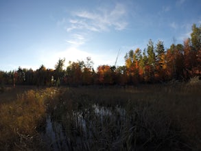 Hike to Moses Creek in Schmeeckle Reserve