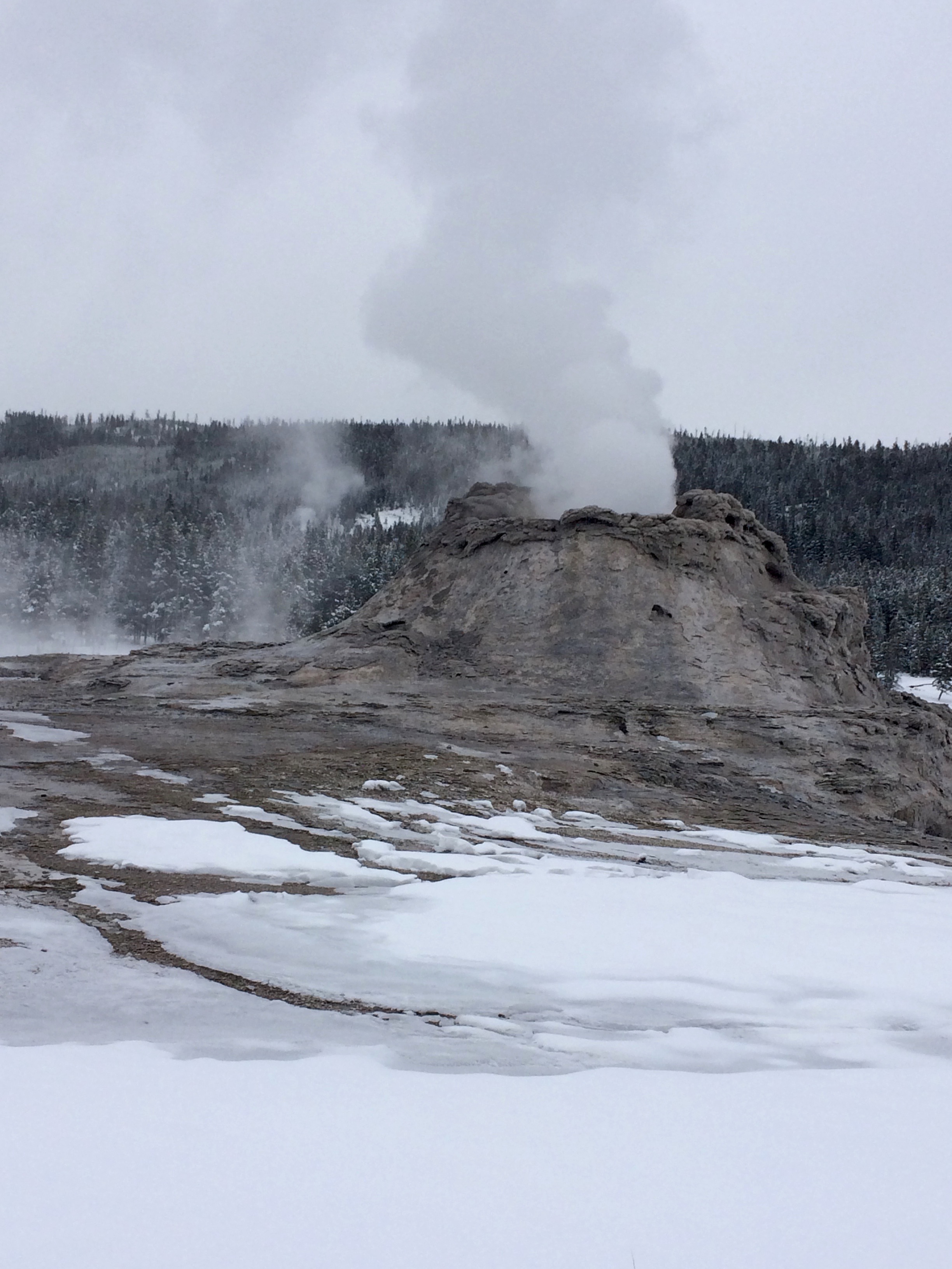 Cross-Country Ski around Old Faithful, Yellowstone