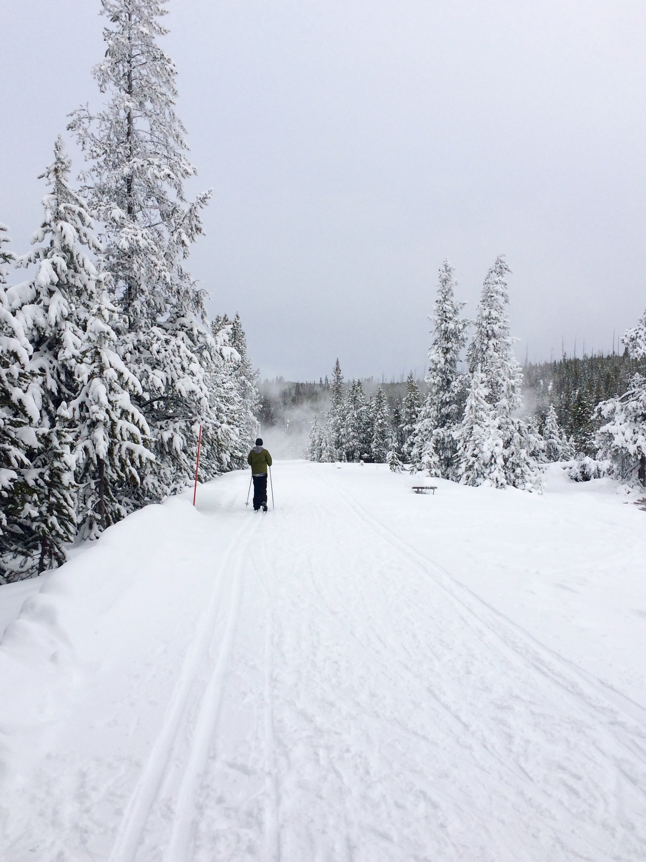 Cross-Country Ski around Old Faithful, Yellowstone