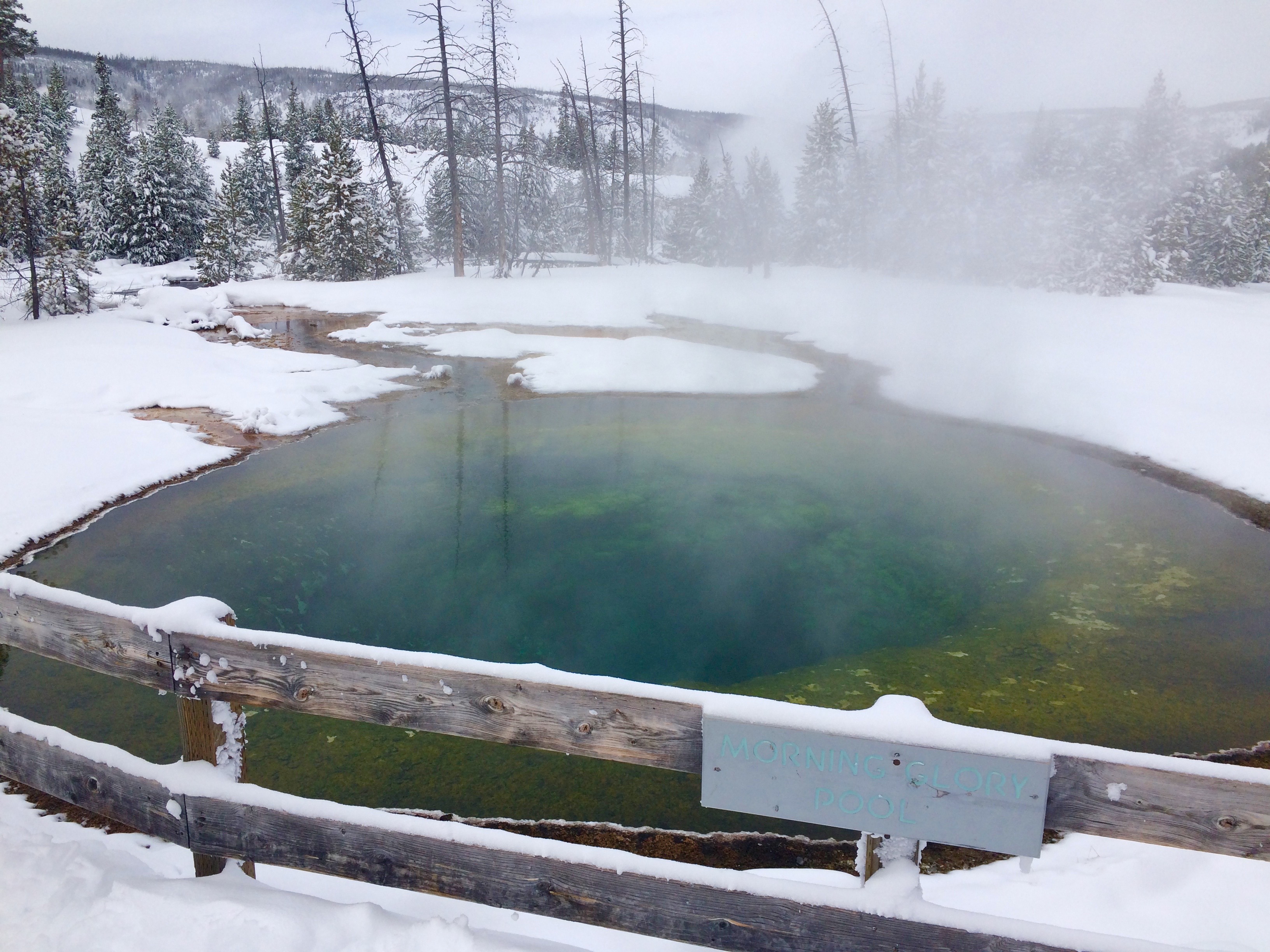 Cross-Country Ski around Old Faithful, Yellowstone