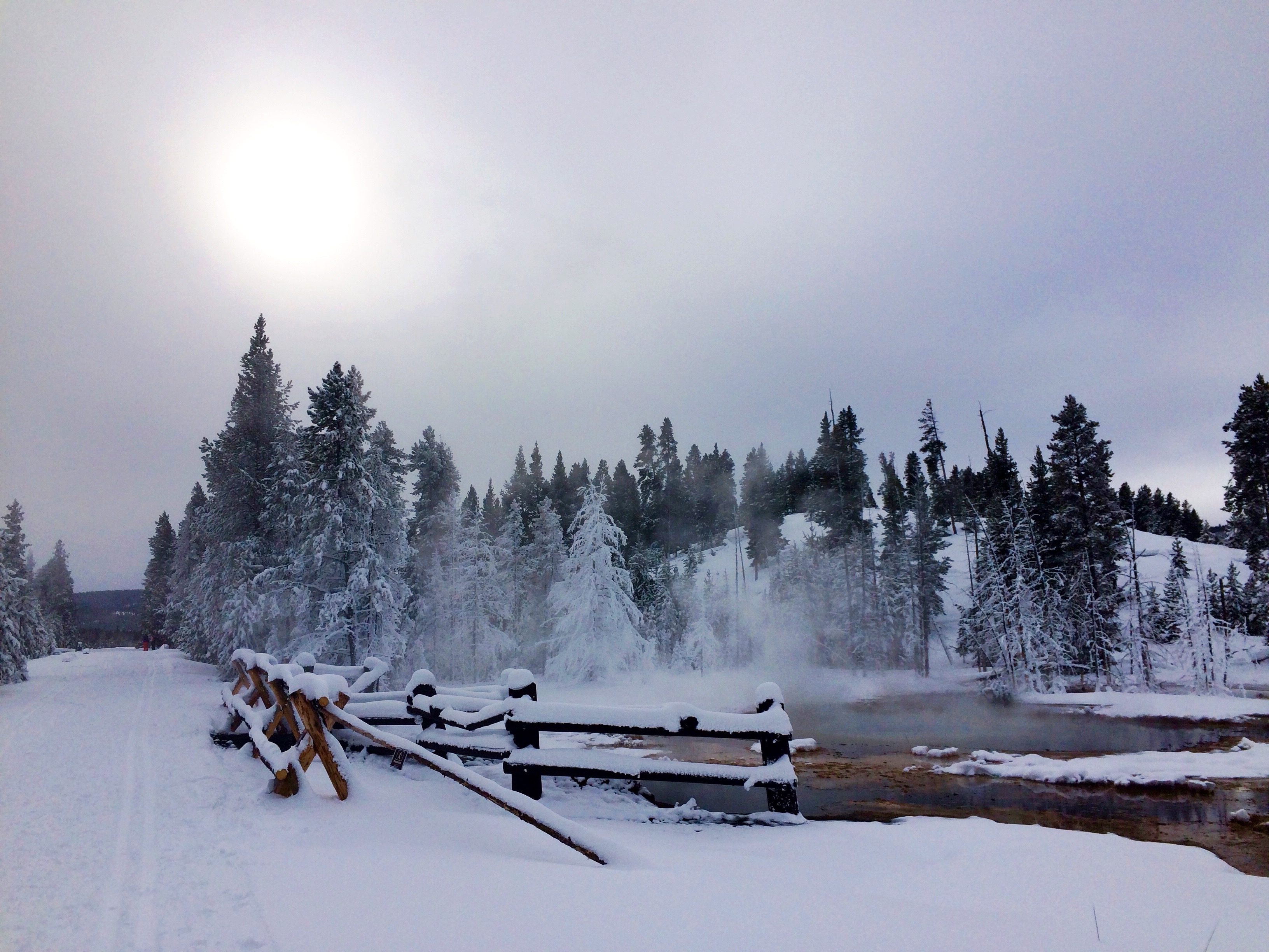 Cross-Country Ski around Old Faithful, Yellowstone