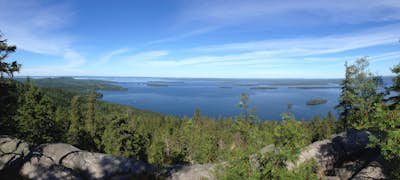 Hike in Koli National Park - A Unique Piece of Finnish Nature