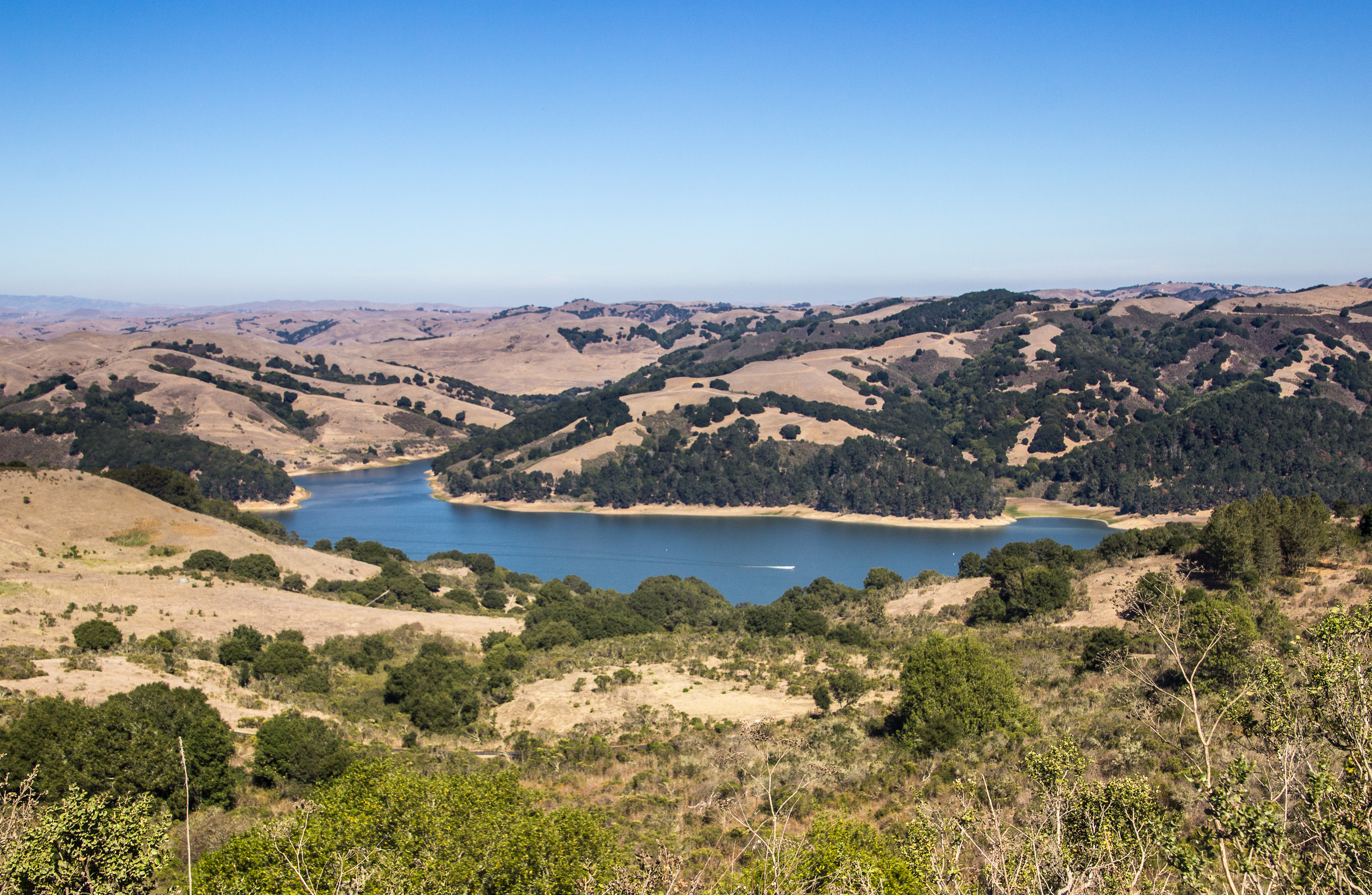 Wildcat Peak Loop